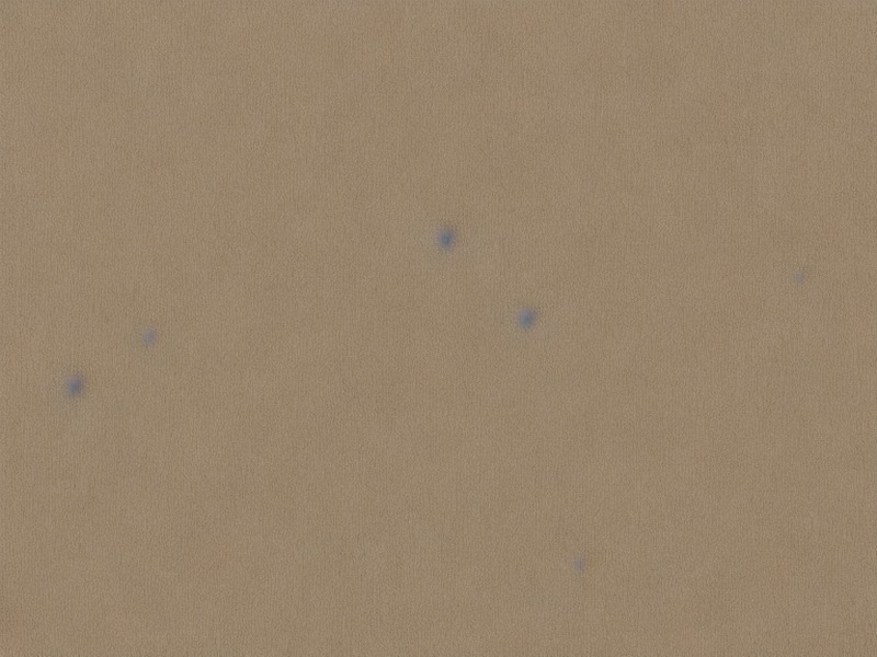 DRAM说明在工业控制中的选型资料